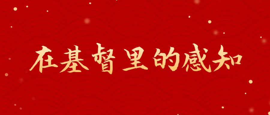 主日证道 | 在基督里的感知 （王红牧师）