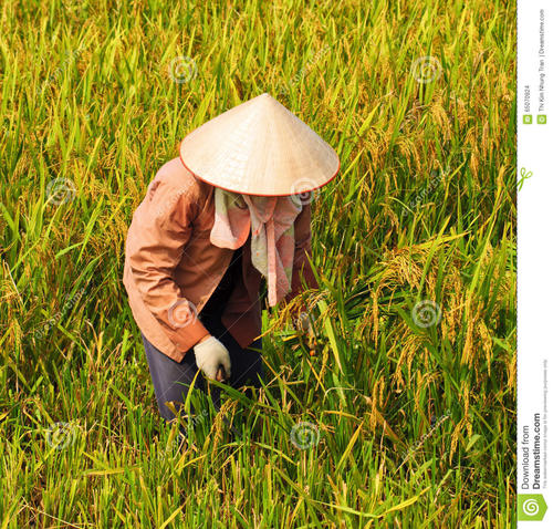 靠着主耶稣，作“三形一体”的传道人(图2)