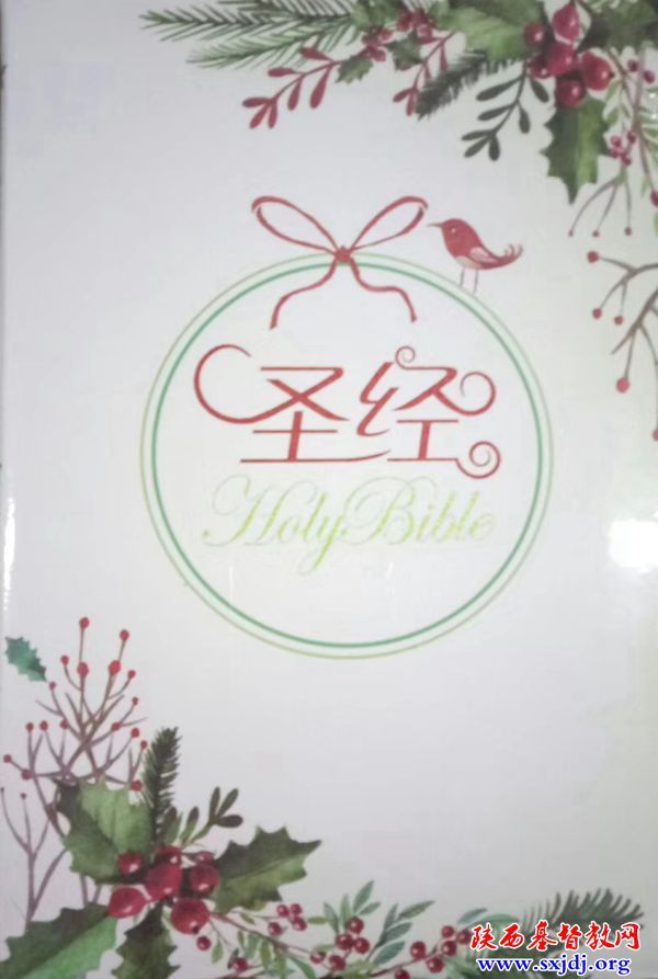 2019年圣诞节“耶稣和我”个人见证主题征稿(图2)