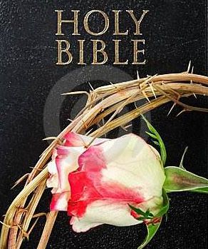 弃绝罪恶，持守纯洁(图1)